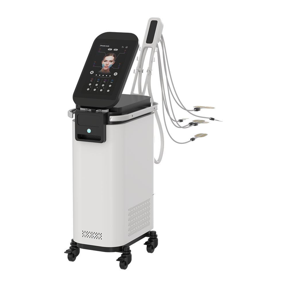 EMS RF Face Beauty Machine
