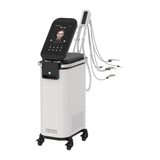 EMS RF Face Beauty Machine