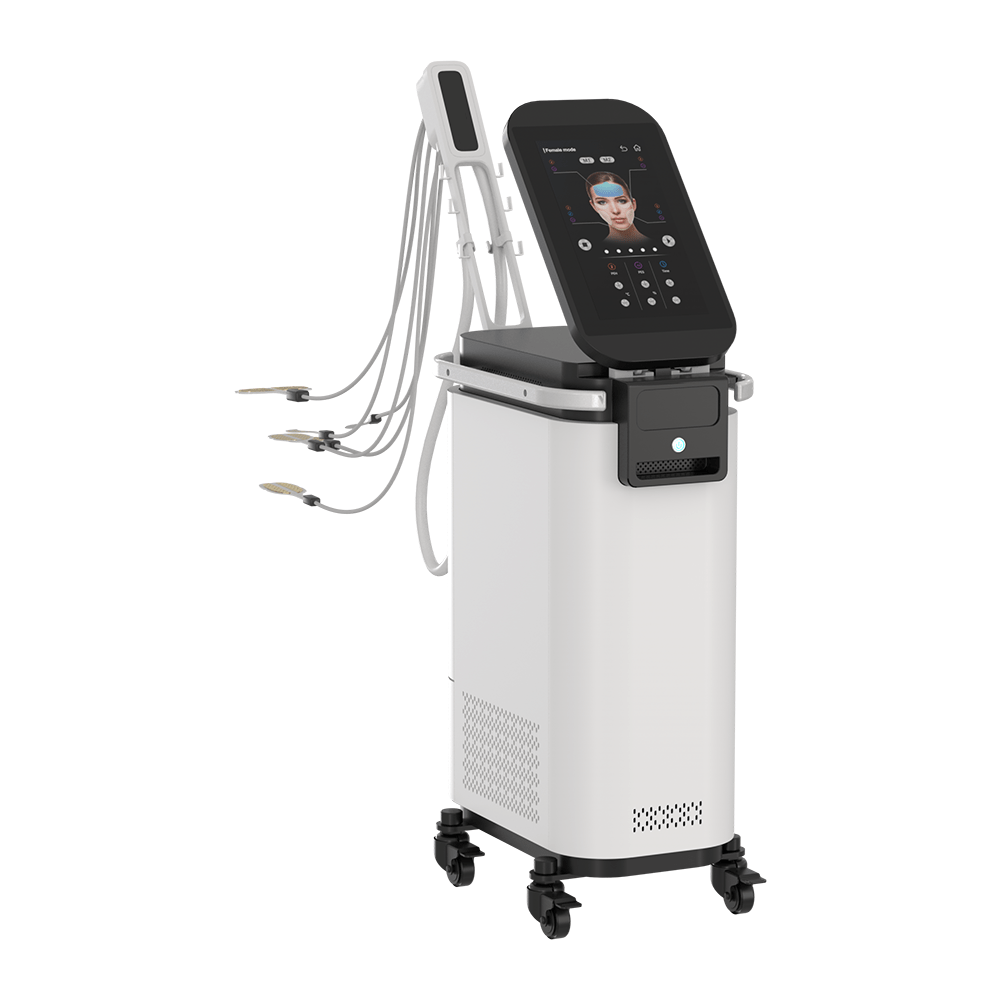 EMS RF Face Beauty Machine