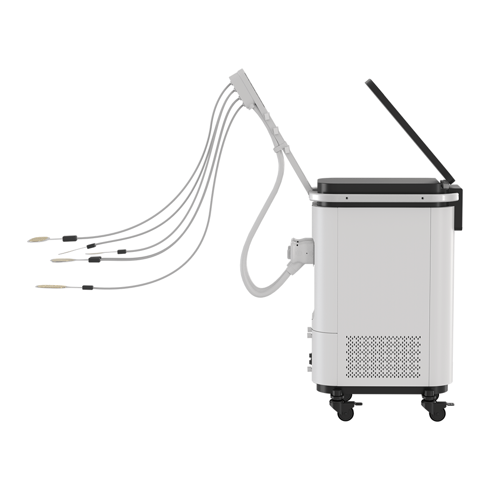 EMS RF Face Beauty Machine