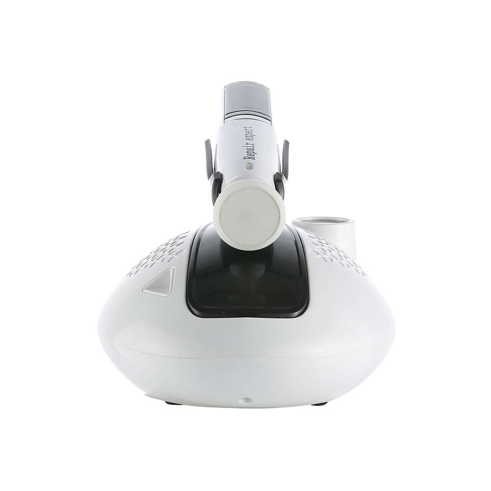 Ozone Plasma Beauty Machine